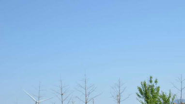 91抖音在线观看国际家居:把爱与温暖送到智障孩子心中 